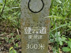 -梧桐山风景名胜区