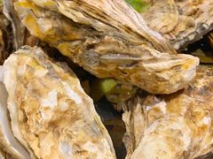 高压锅生蚝-蚝翅·海鲜粥·烧烤·宁夏滩羊季(玉米楼店)