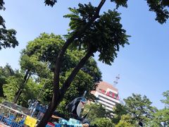 -金砂公园