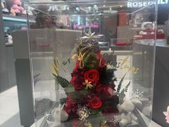 -ROSEONLY诺誓(国际广场购物中心店)
