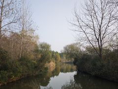 -溱湖国家湿地公园