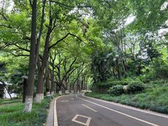 -采石矶景区