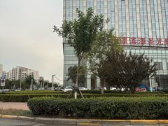 -天津滨海圣光皇冠假日酒店