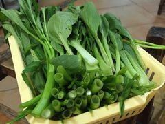 送的菜-荔城生鲜盛宴(番禺旗舰店)