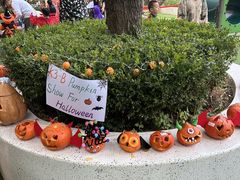 -卓悦童国际幼儿园