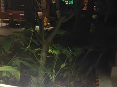 -西双版纳洲际度假酒店-曼霖轩中餐厅