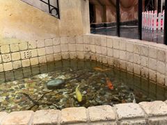 -苏浙汇(肇嘉浜路总店)