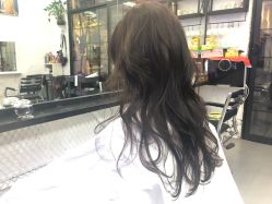 -SALON V