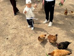 -甜心庄园·甜心草莓采摘园(西青中北店)