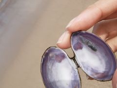 -那香海钻石沙滩浴场