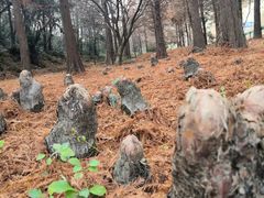 -南京市无想山景区