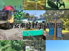 -西安秦岭野生动物园