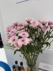 点击看大图 -靓芙泉·0感专研祛痘