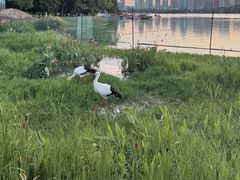 -南宁南湖公园