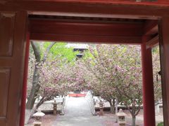 -石岛赤山风景区