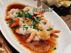 -日出青木