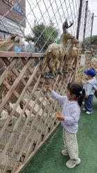 -萌宠亲子动物乐园(槐房万达店)