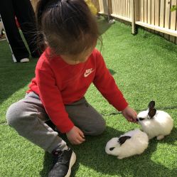 -萌宠亲子动物乐园(槐房万达店)