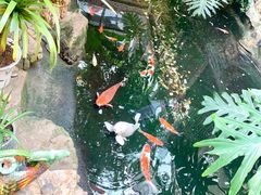 -聚缘堂·海鲜私房菜(松岭路店)