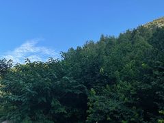 -佛慧山