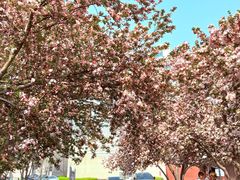 -唐山抗震纪念碑广场