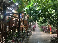 -呀路古热带植物园