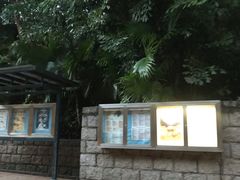 -九龙公园