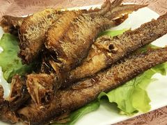 -瑞福园联谊餐室(茂名南路店)