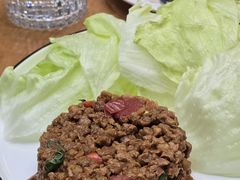 -VEGA VEGA 我行我素