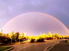-永定河休闲森林公园