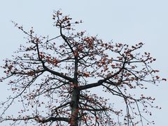 -中山公园