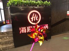 -海底捞火锅(高科广场店)