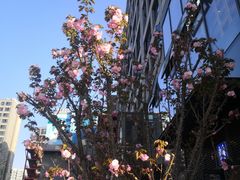 -英伦风情酒店(优博国际店)