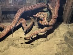 -张掖大佛寺景区