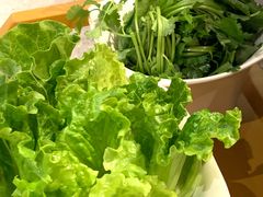 生菜-季季红火锅(长沙步行街店)