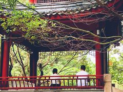 -龙潭水乡
