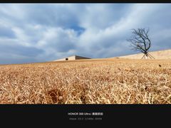 -盘龙城国家考古遗址公园