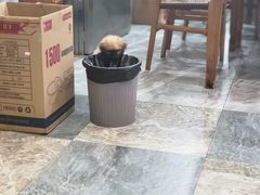 -晓马鸭店(新芜路店)