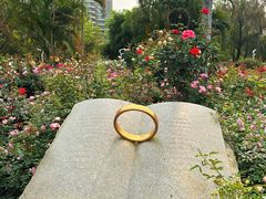 -人民公园(罗湖区)