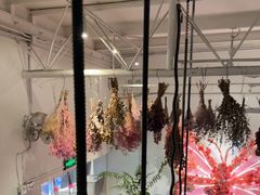-北平花园·MUA摩造汉堡·北平咖啡(南锣鼓巷胡同店)