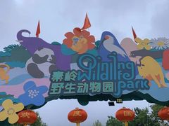 -西安秦岭野生动物园