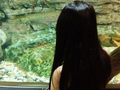 -迪拜水族馆及水下动物园