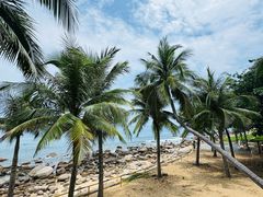 -三亚南山文化旅游区