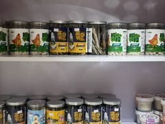 -青奢宠物·青奢猫舍