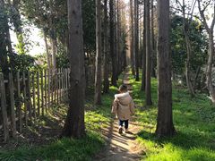 -前小桔亲子创意农场·草莓采摘·露营烧烤