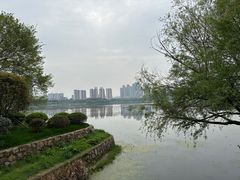 -月湖风景区