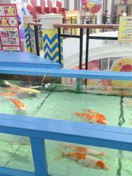 -Lucky Star幸运星&一同潮玩(友阿国际广场店)