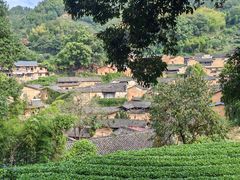 -杨家堂村