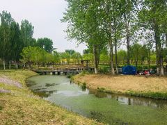-东郊湿地公园