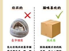-半岛宠物医院24小时(科华中路店)